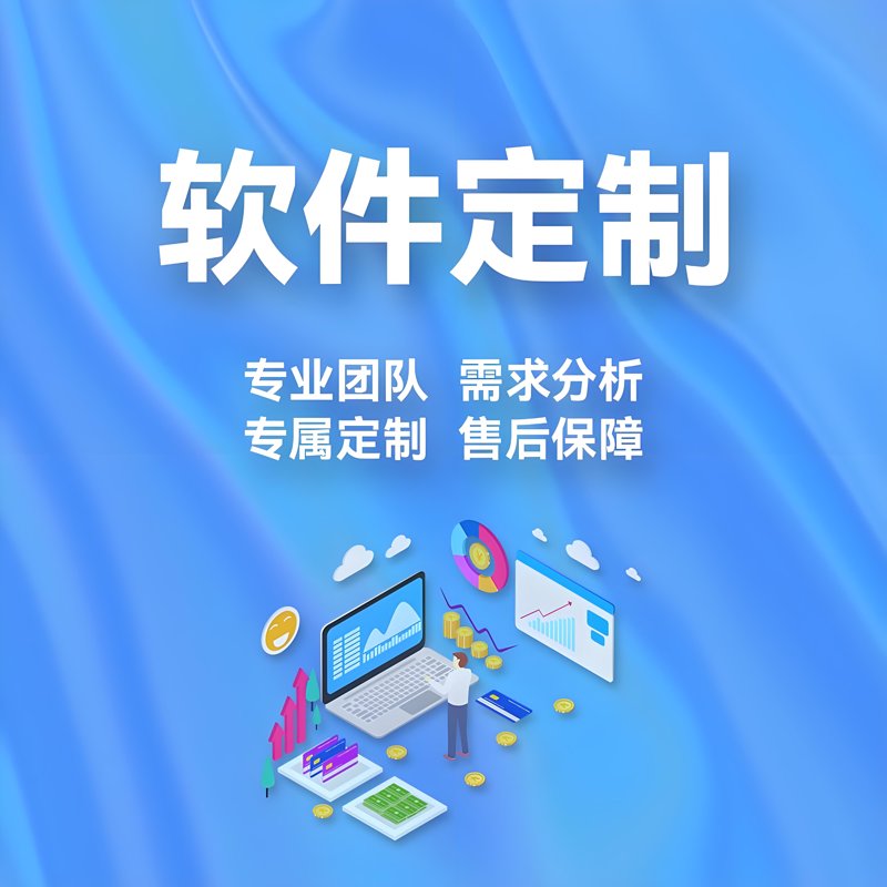 定制开发:适应企业需求的艺术